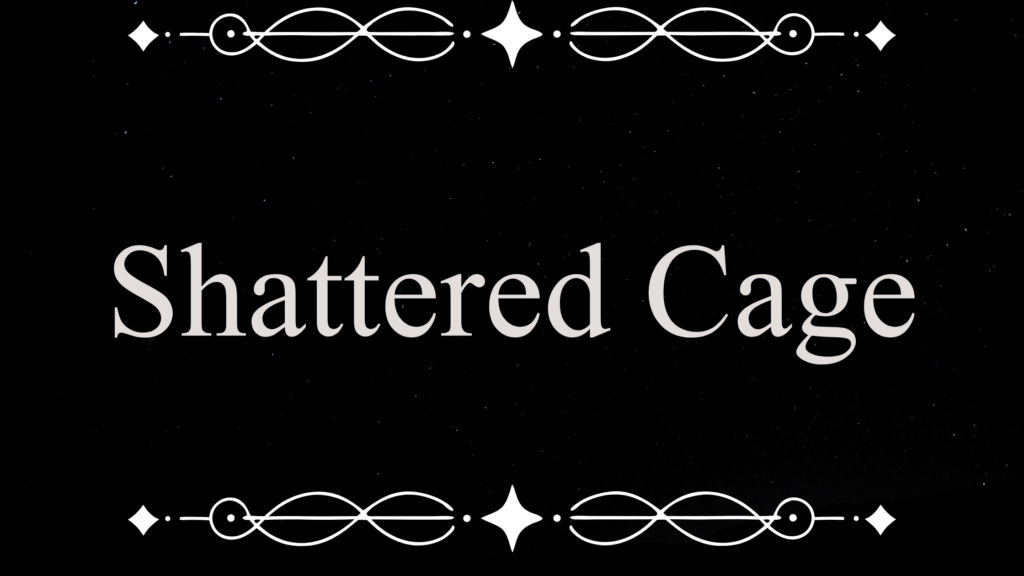 Auf schwarzem Hintergrund stehen in der Mitte die Worte "Shattered Cage". Umrahmt sind sie oben und unten von Swirls mit Sternen